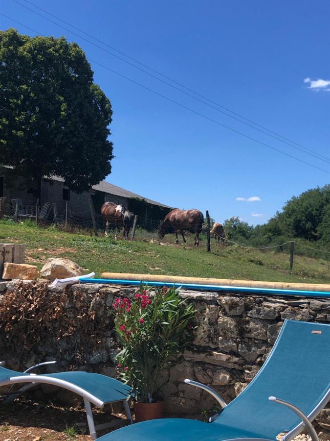 La Ferme De La Truffe Chambres D Hotes Cuzance Екстериор снимка